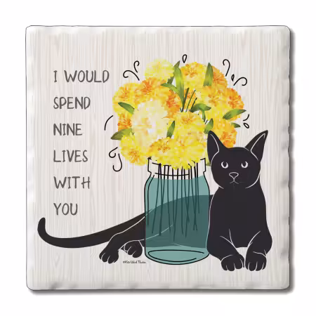 Nine Lives Coaster