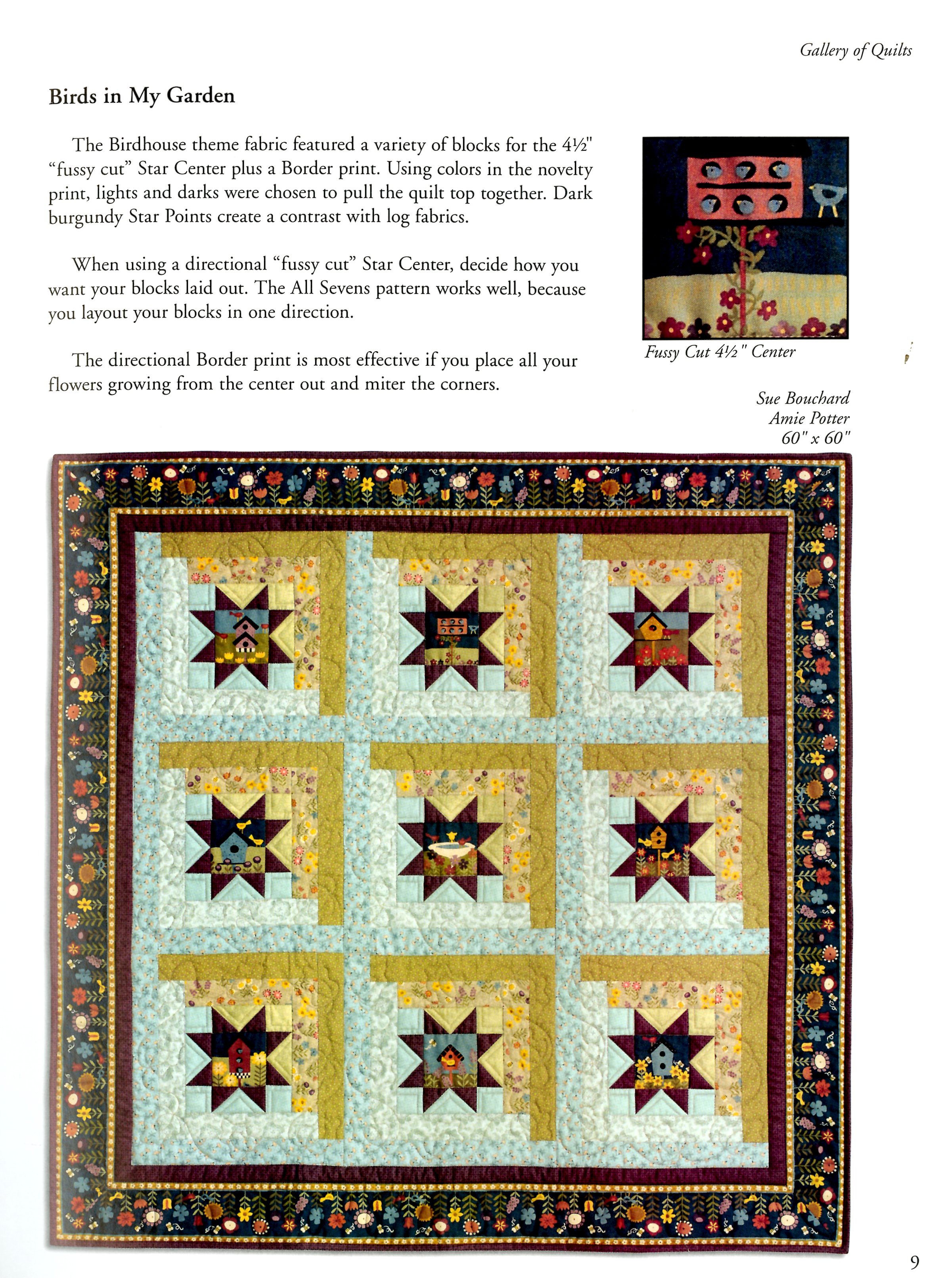 Eleanor Burns Orion Star Quilt Pattern