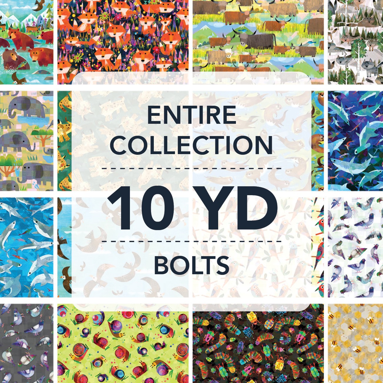 Product Image For 10YDANIM-X.