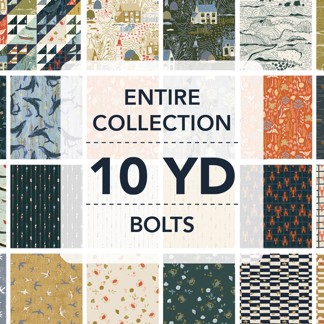 Product Image For 10YDROCK-X.