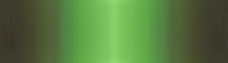 Green Tonal Gelato Ombre