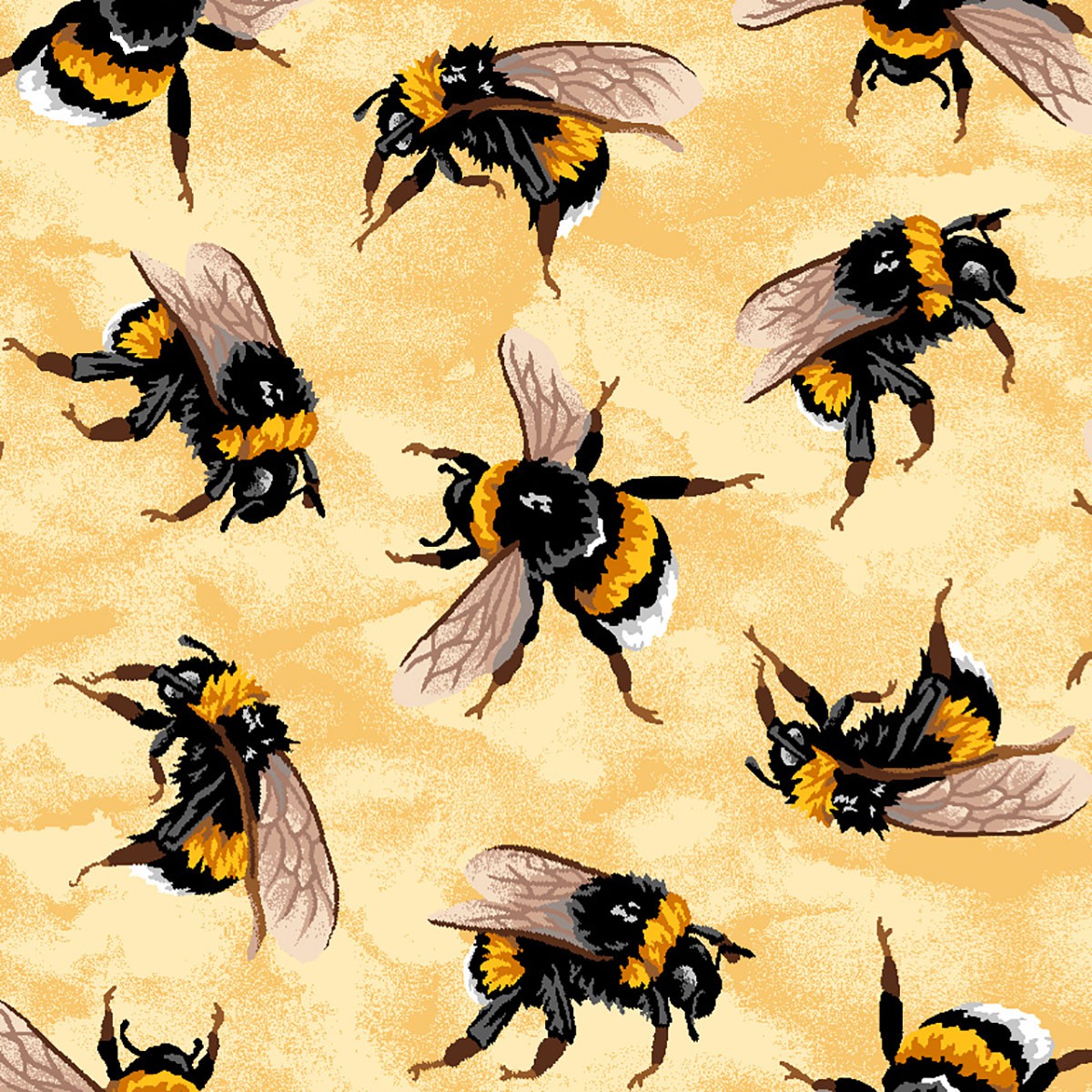 southern gold bee farm southern gold bee farm
