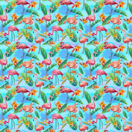 Fabulous Flamingos