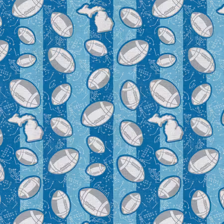 Detroit Football Toss Blue/Grey