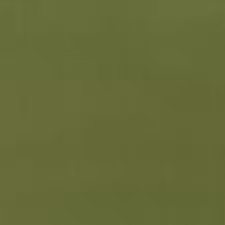 Guacamole Solid
