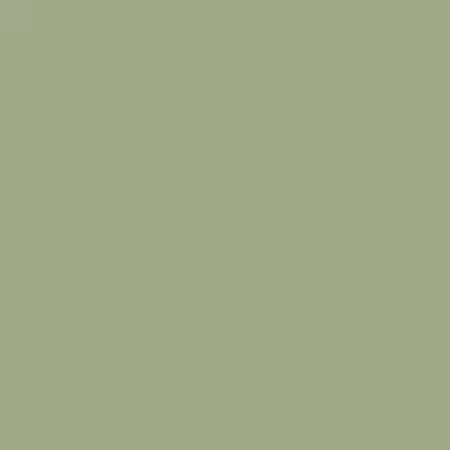 Eucalyptus Solid 62 square
