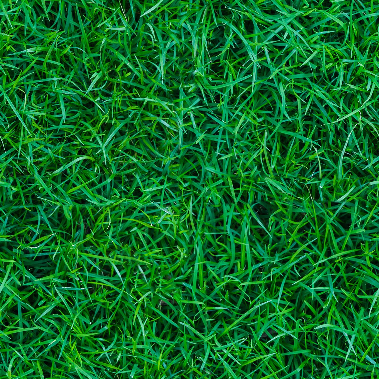 Product Image For 133741.