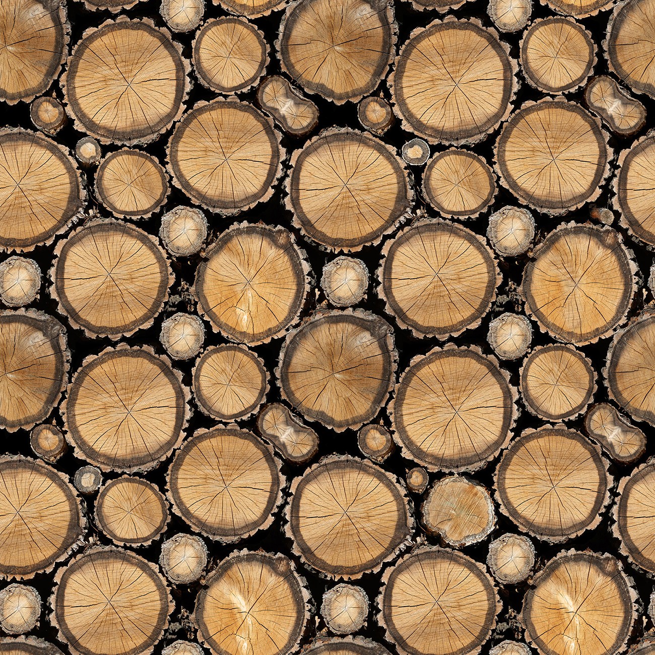 Product Image For 133743.