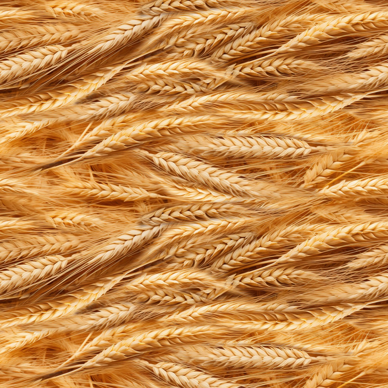 Product Image For 133744.