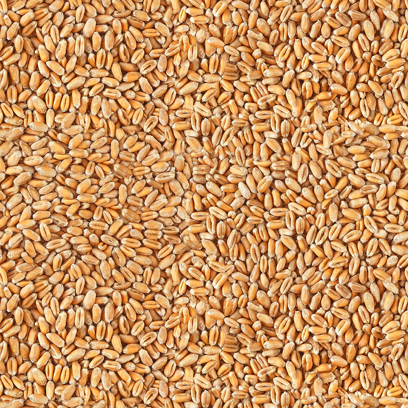 Product Image For 133745.