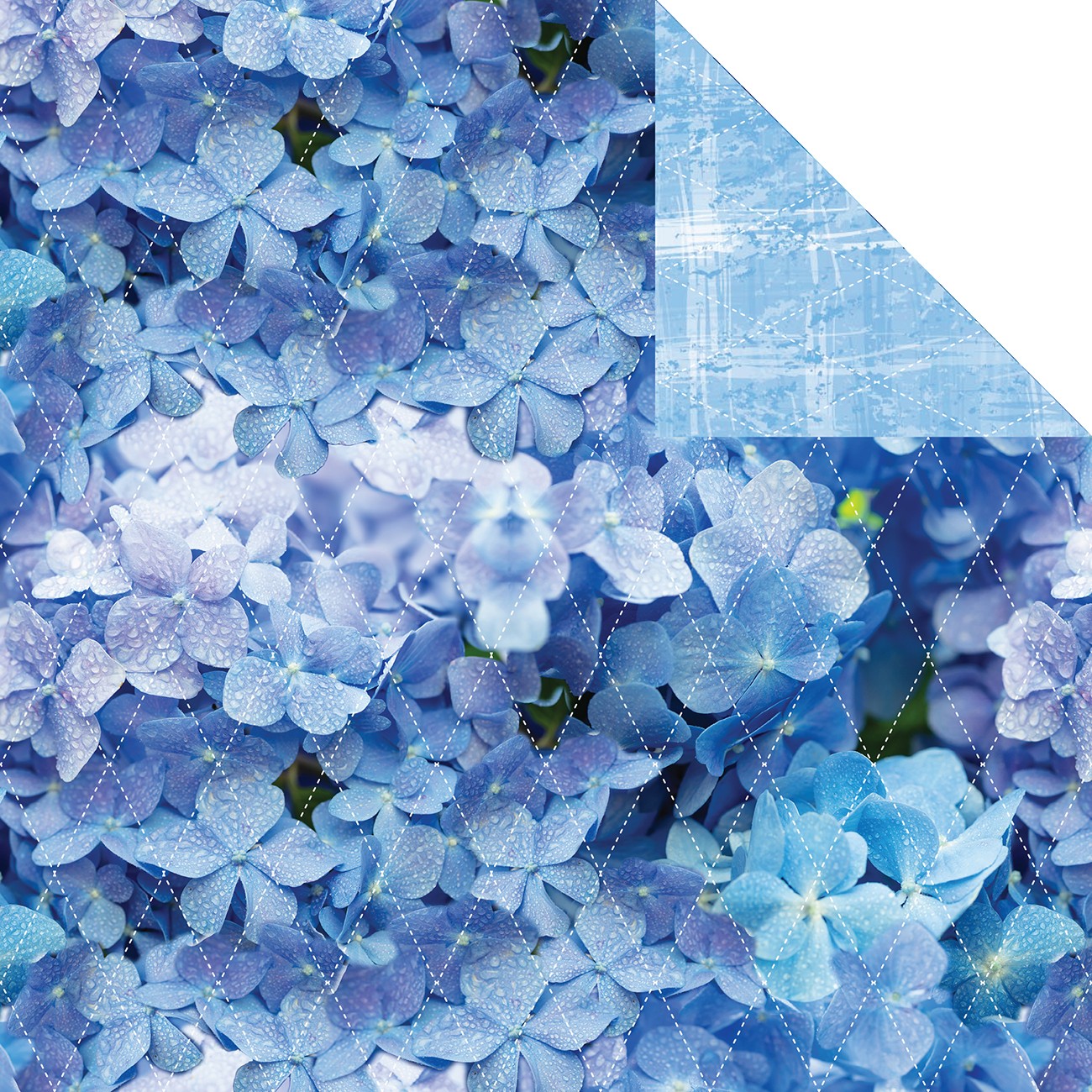 Product Image For 141574.