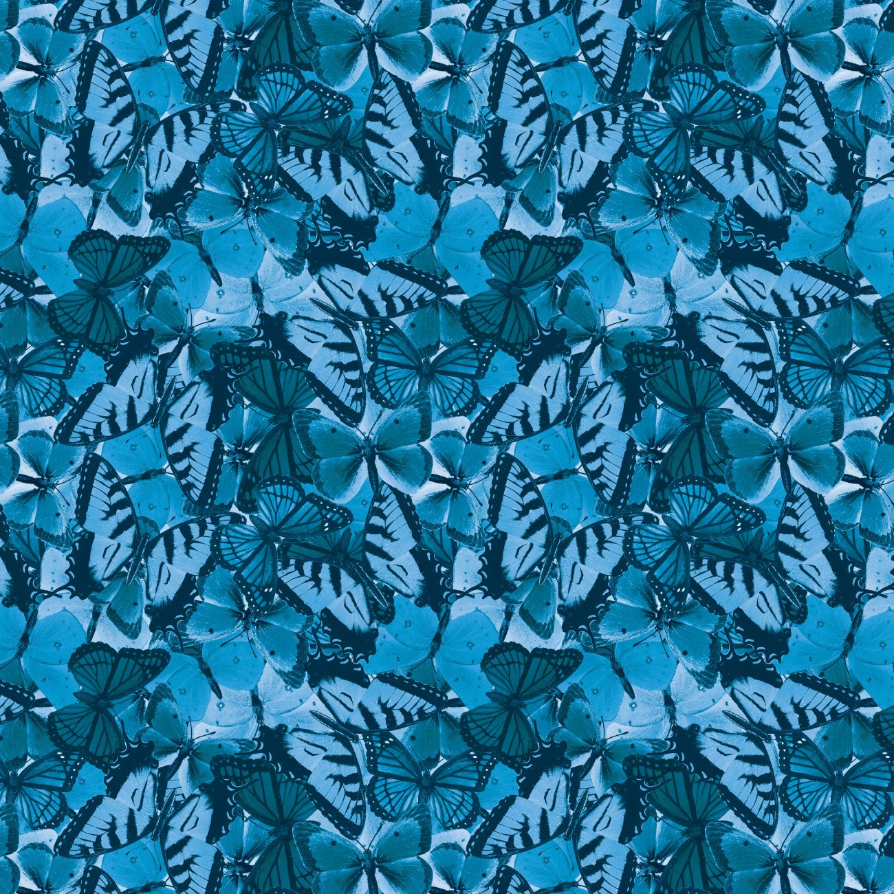 Product Image For 14250303-02.