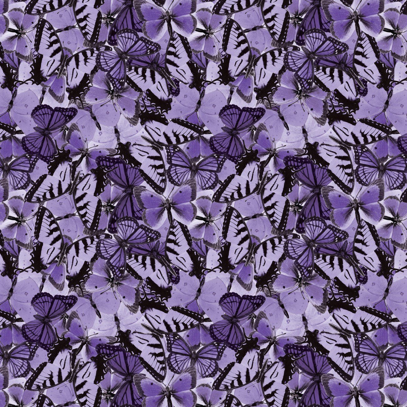 Product Image For 14250303-03.
