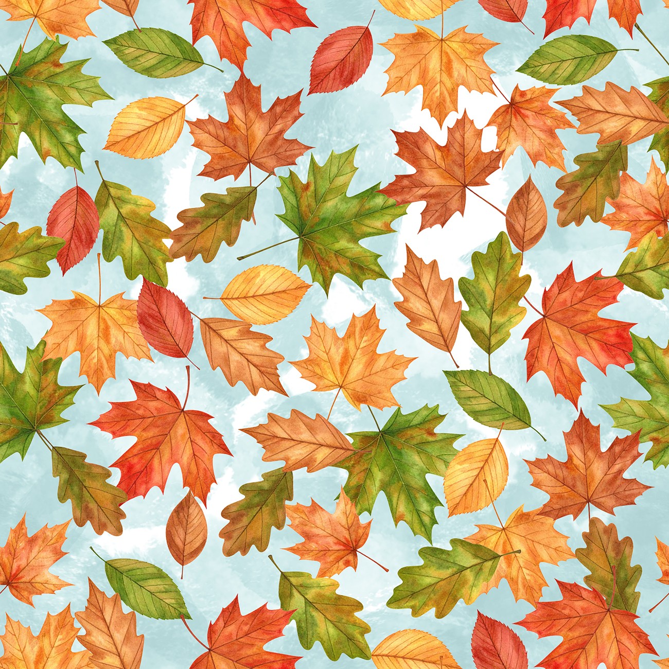 Product Image For 144149.