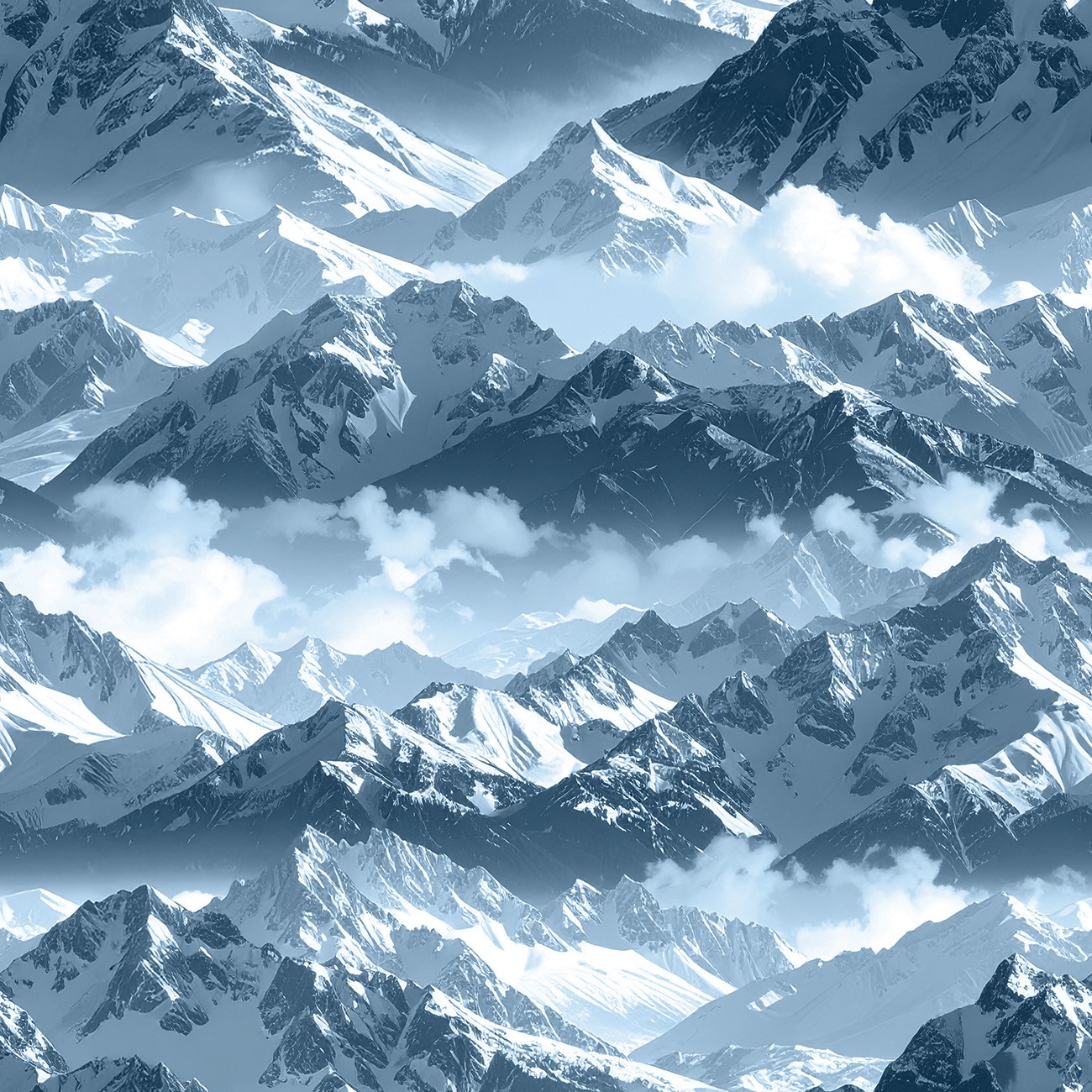 Product Image For 145341.