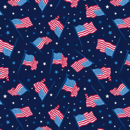 Flags of the USA Navy