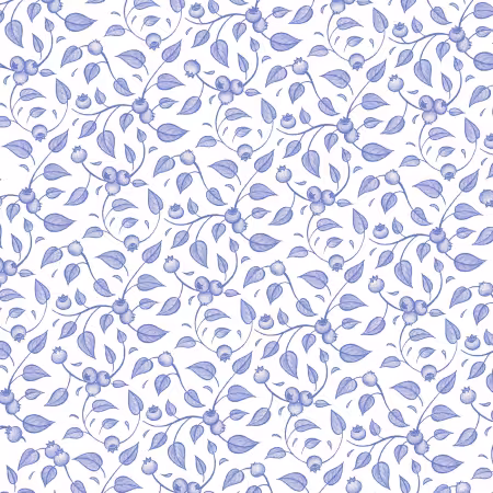 White/ Blue Blueberry Vine