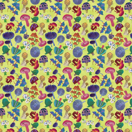 Mod Mushroom Mix Lime
