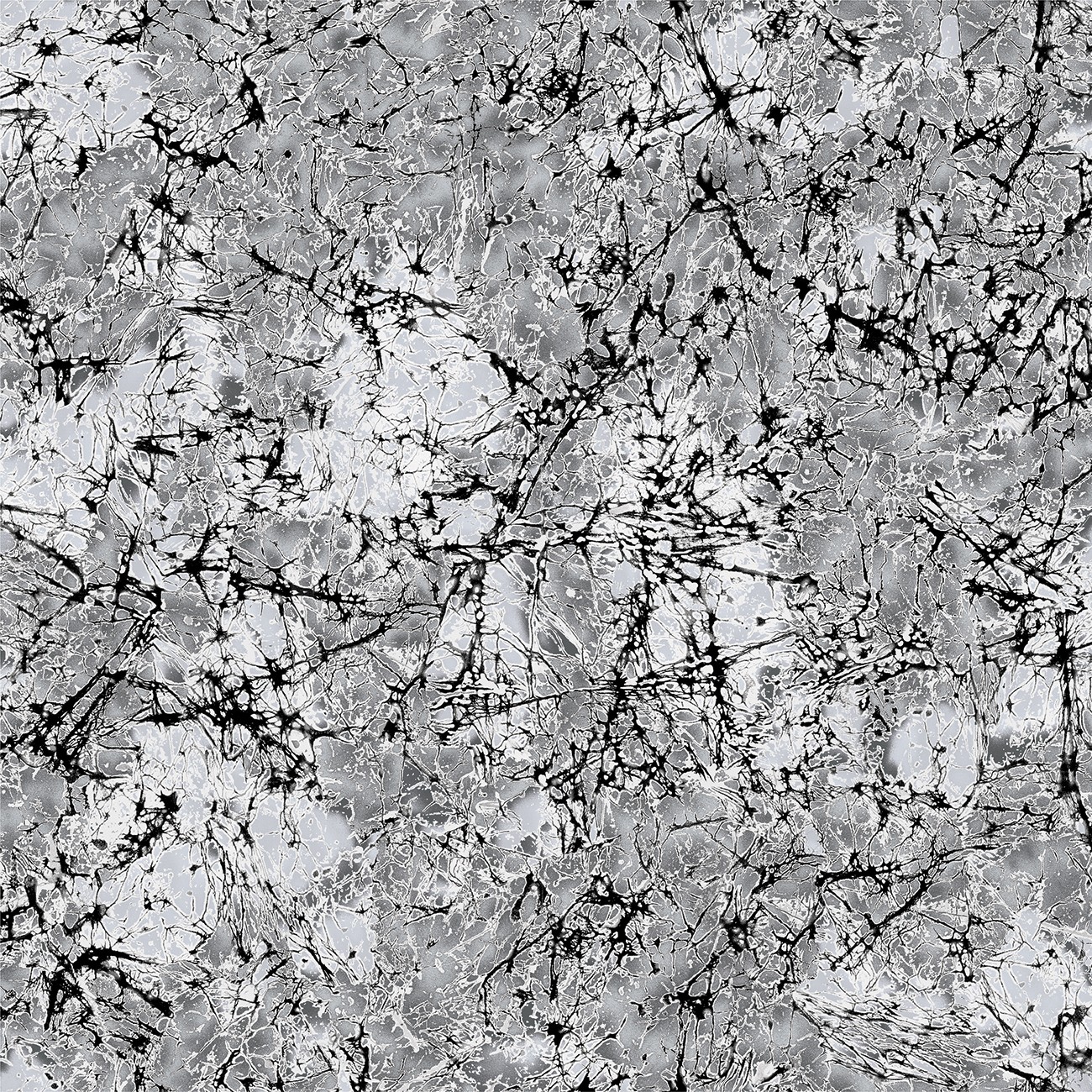 Product Image For 16969B-08.