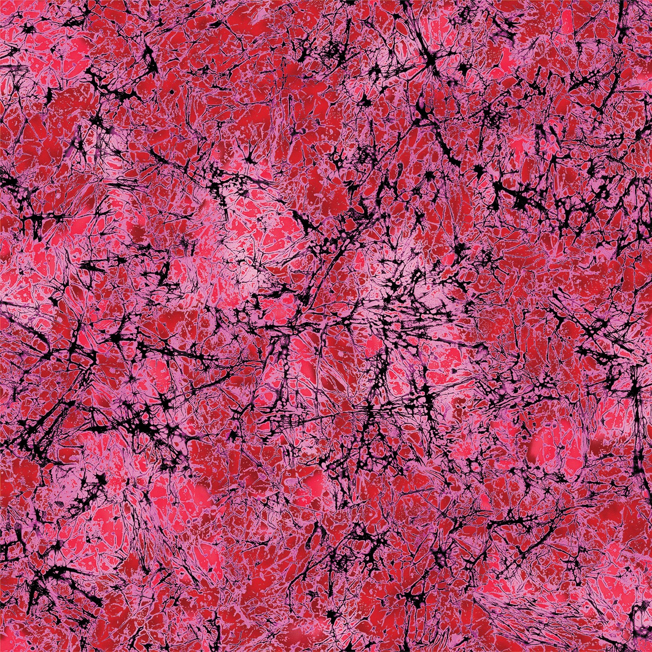 Product Image For 16969B-10.