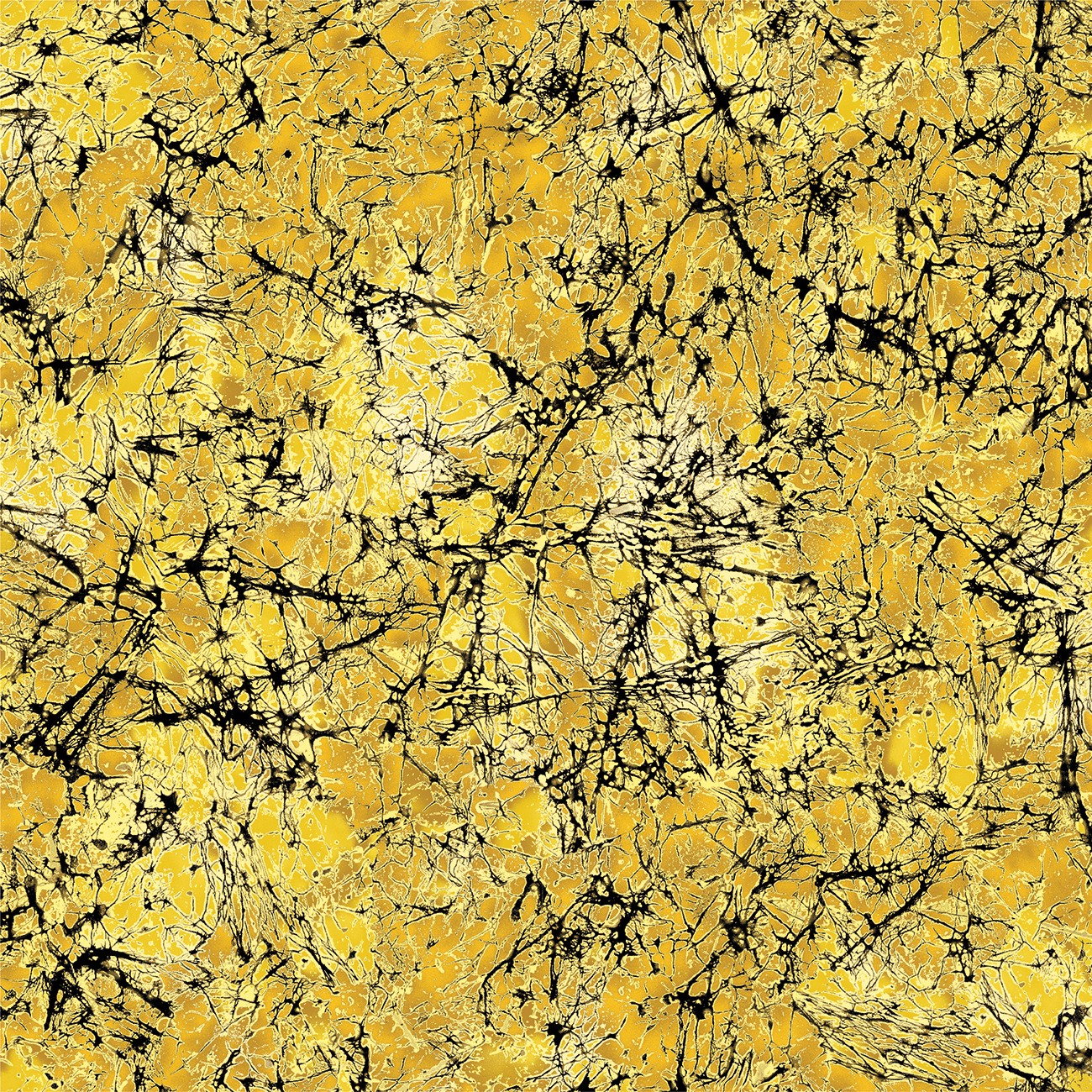 Product Image For 16969B-33.