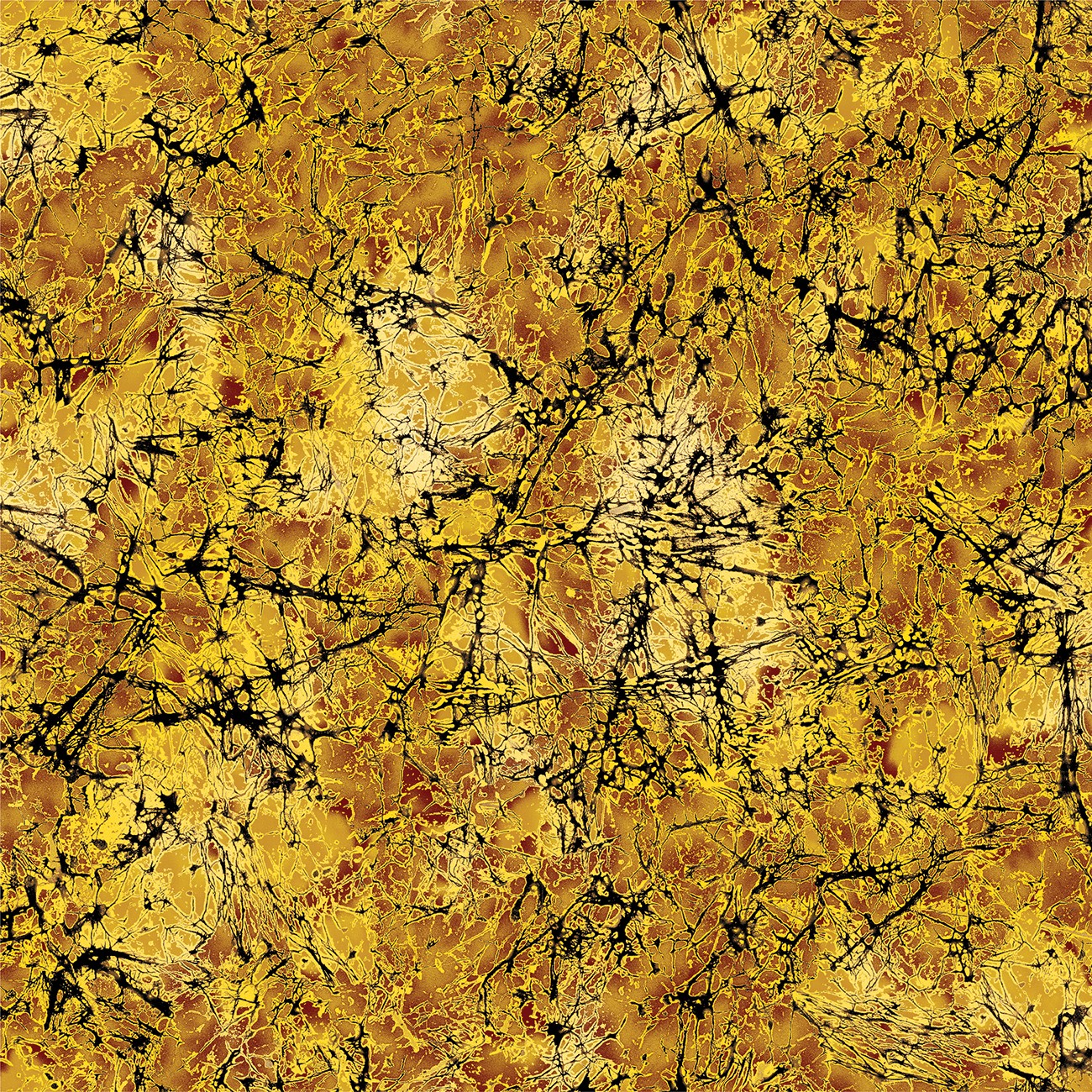 Product Image For 16969B-34.