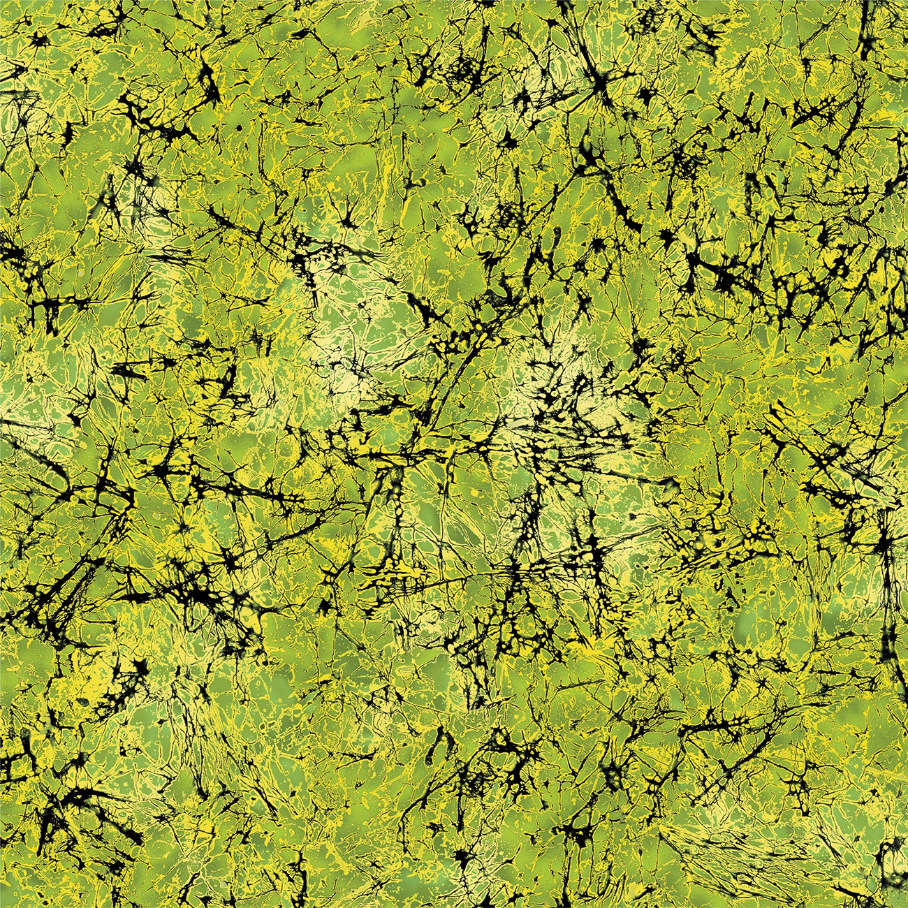 Product Image For 16969B-42.