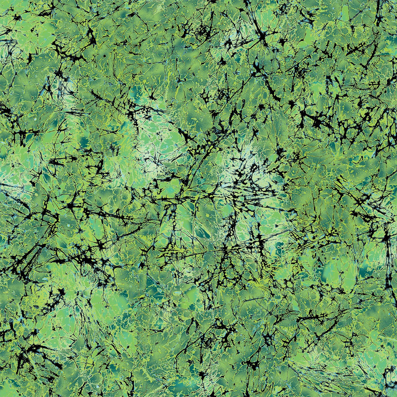 Product Image For 16969B-45.