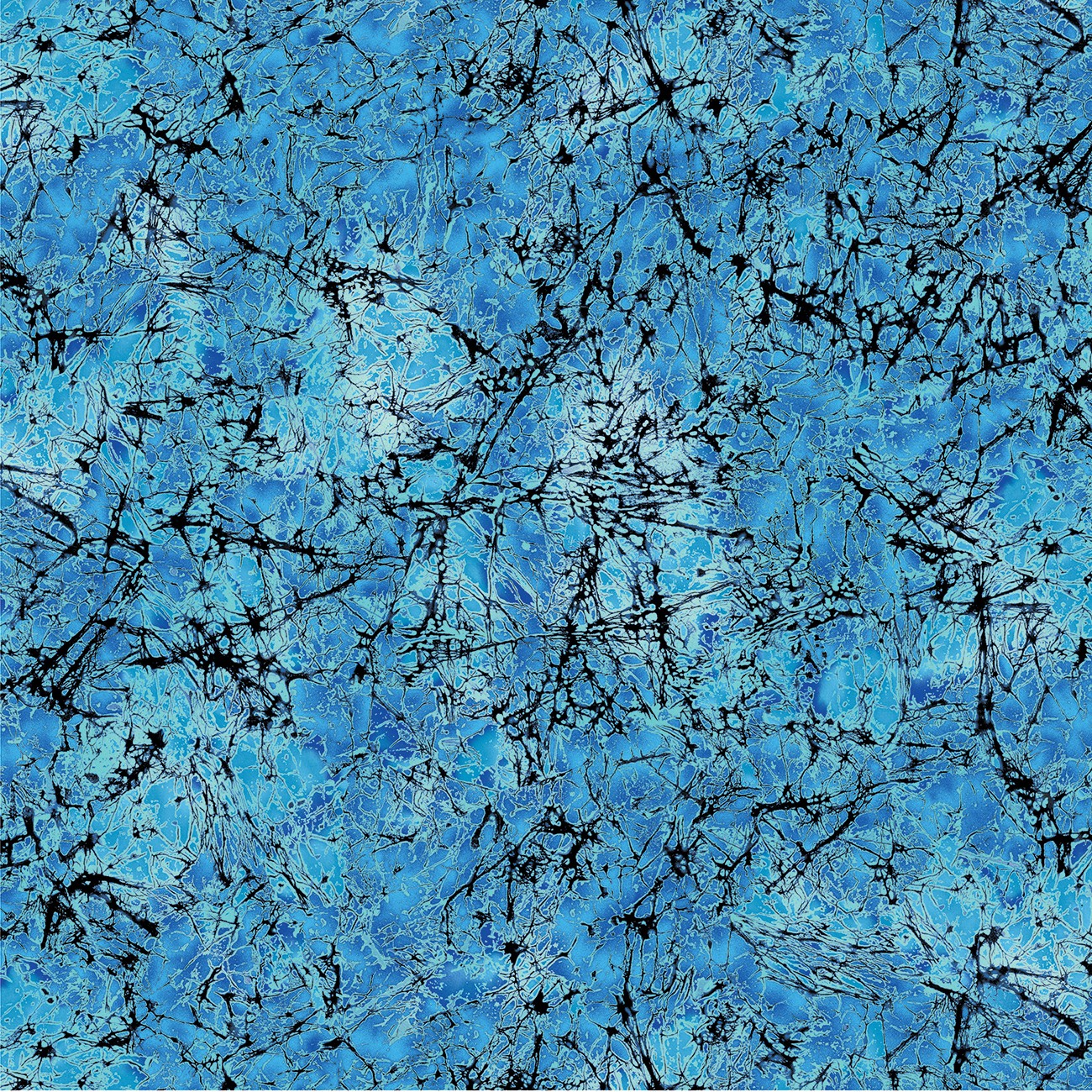 Product Image For 16969B-55.