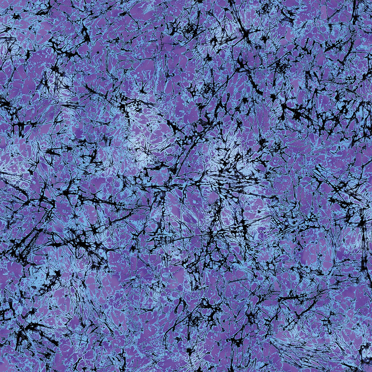 Product Image For 16969B-66.