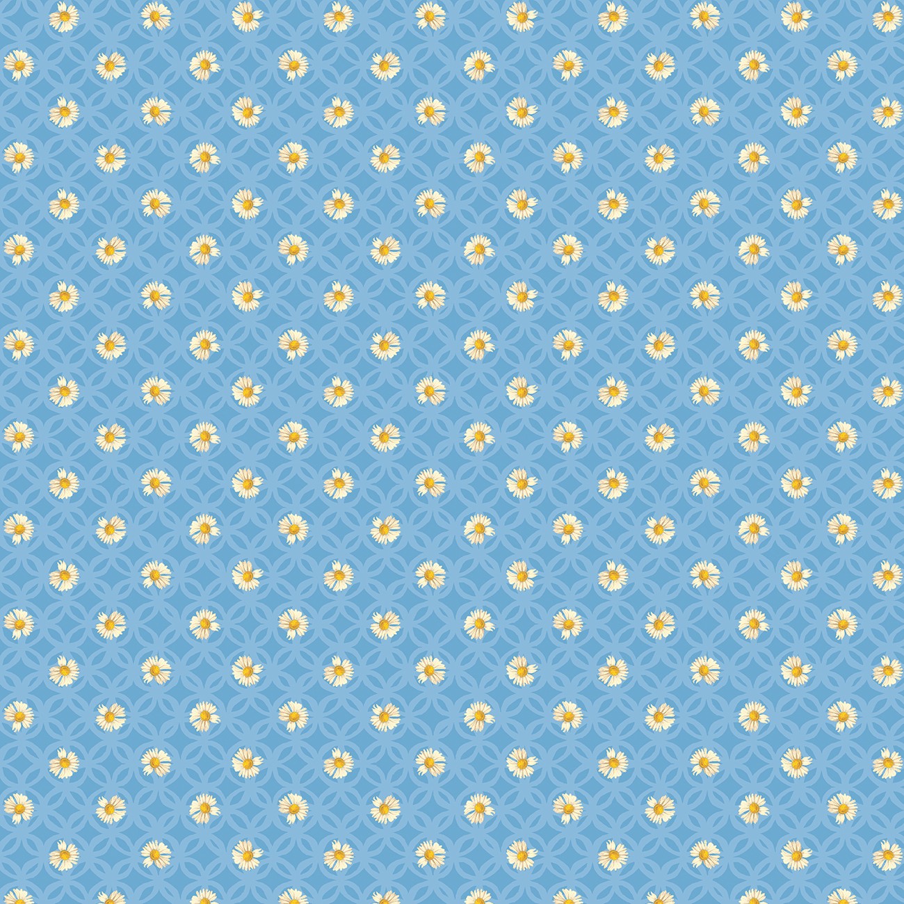 Product Image For 16975B-55.
