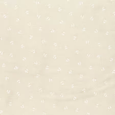 Cream Tone on Tone