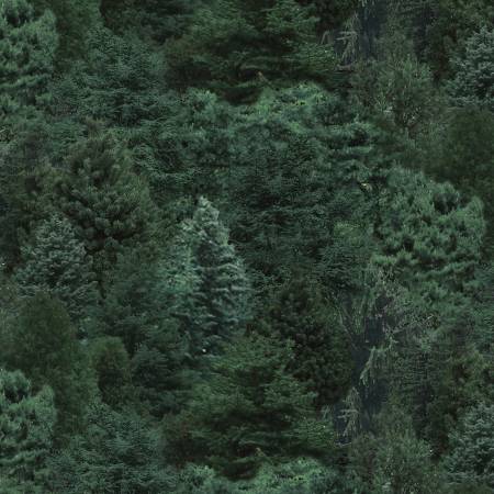 Landscape Medley Evergreens Pine