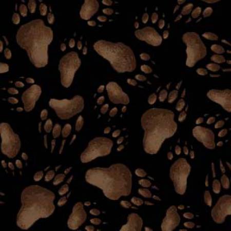 Black Bear Paw Prints