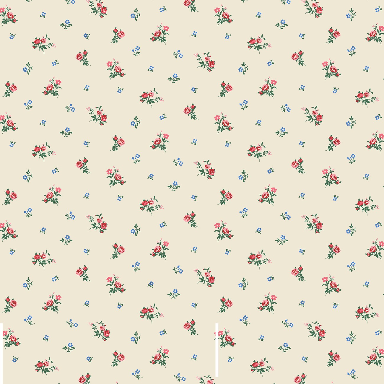 Product Image For 19099-C.