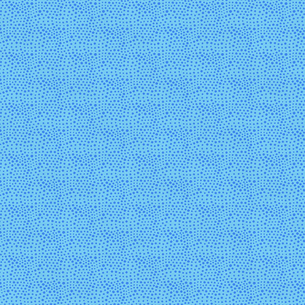 Product Image For 191P27013.