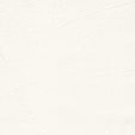 White on White Tone on Tone