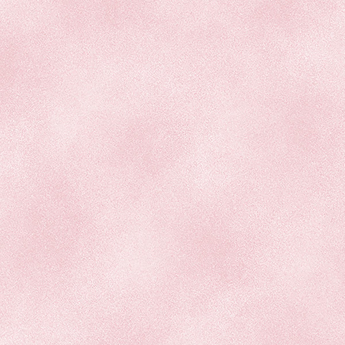 Product Image For 2045BS-09.