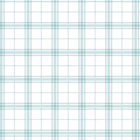 Rainwater Plaid