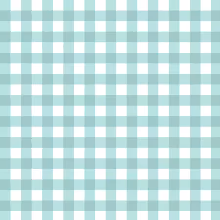 Rainwater Gingham