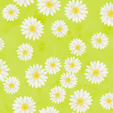 Daisy Garden