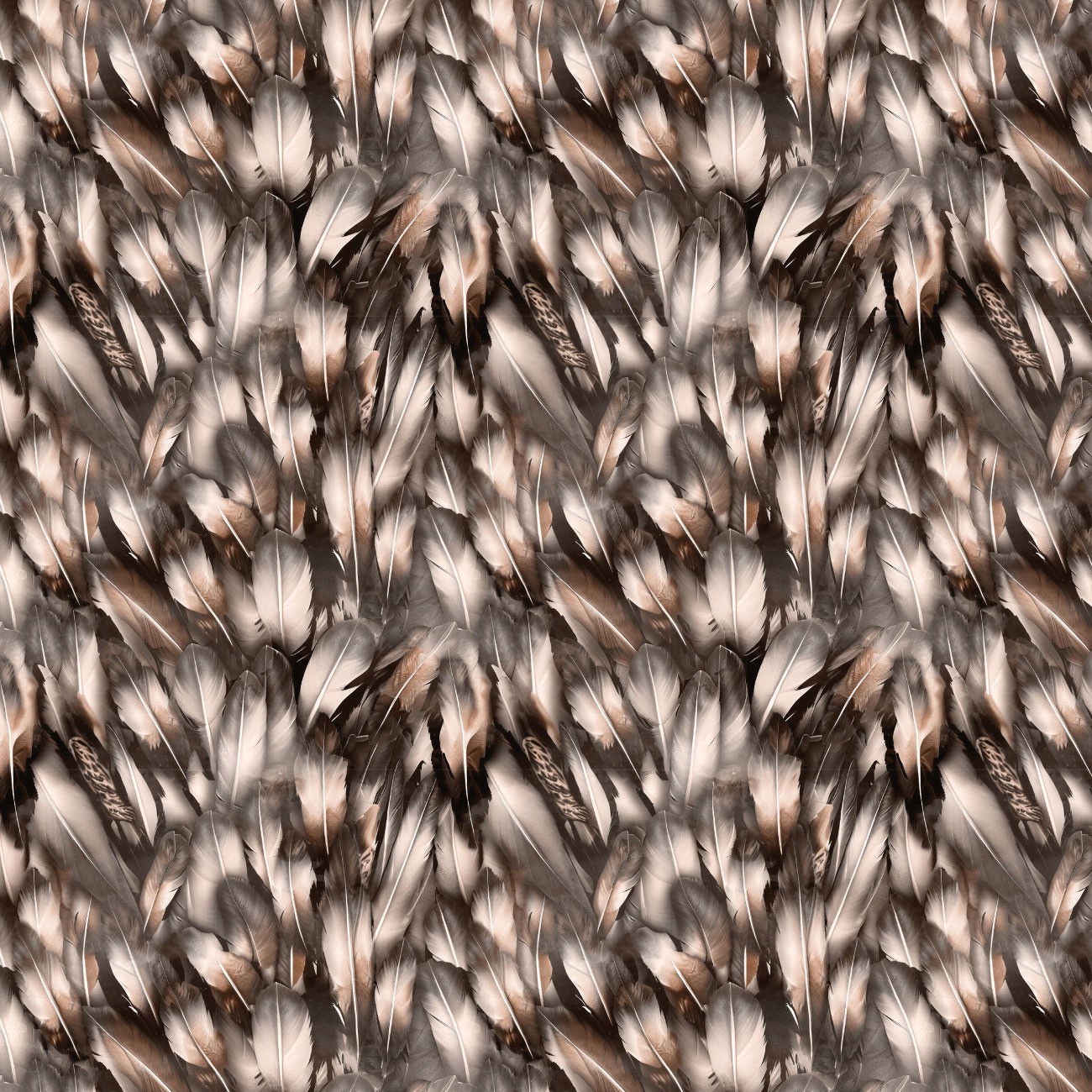 Product Image For 21231201-04.