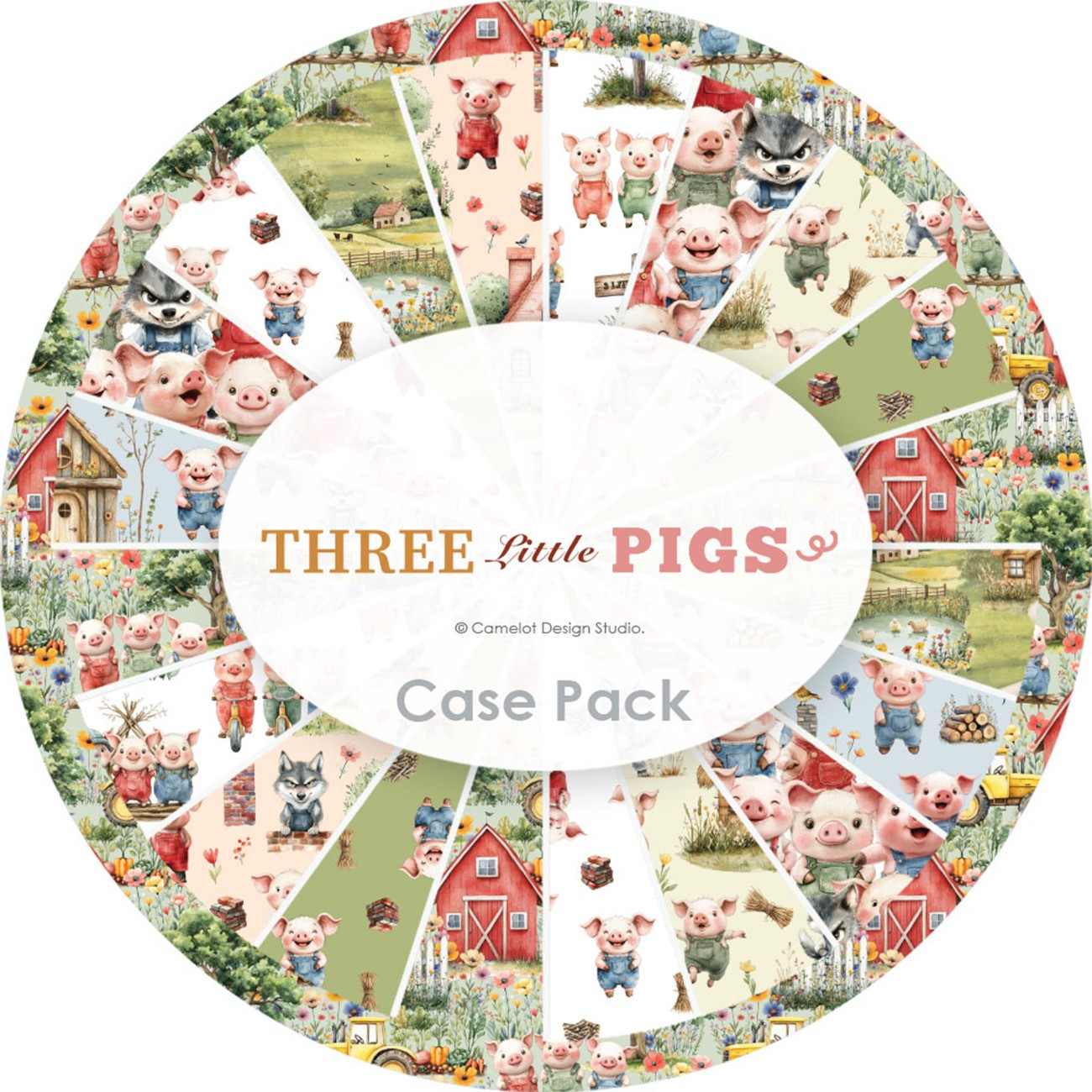 Product Image For 21250808SSCASE.