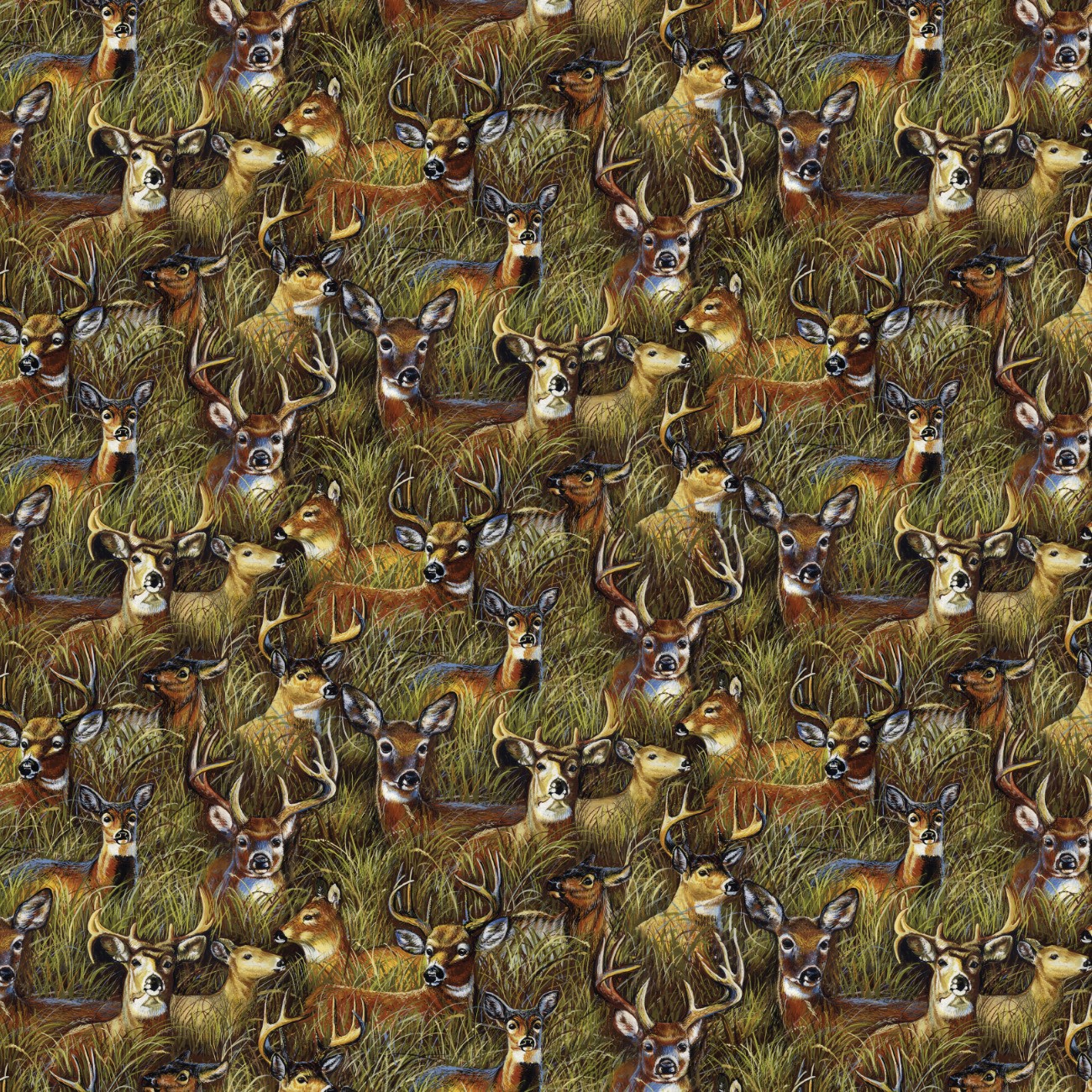 Product Image For 21251001-01.