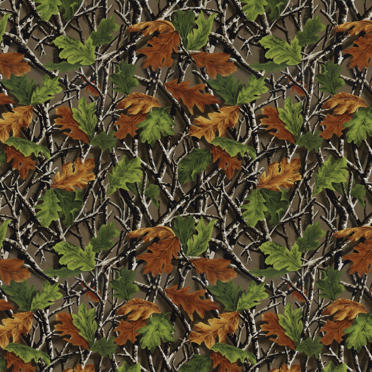 Product Image For 21251004-01.
