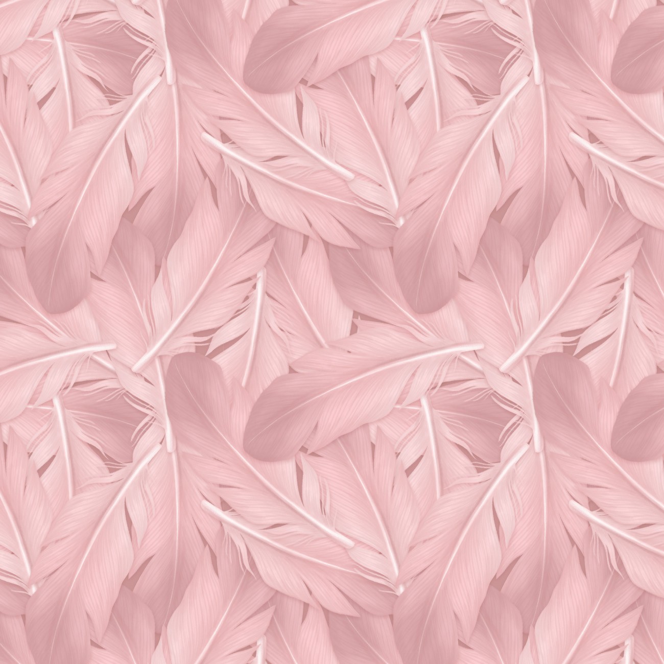 Product Image For 21251101-01.