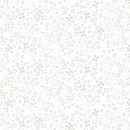 White Daisy