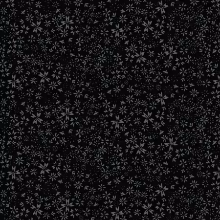 Black Daisy