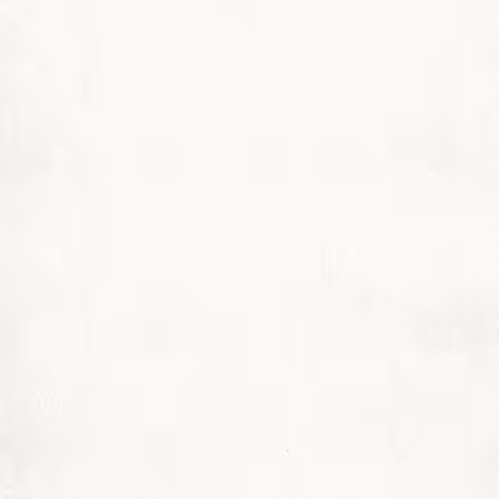 White on White Tone on Tone