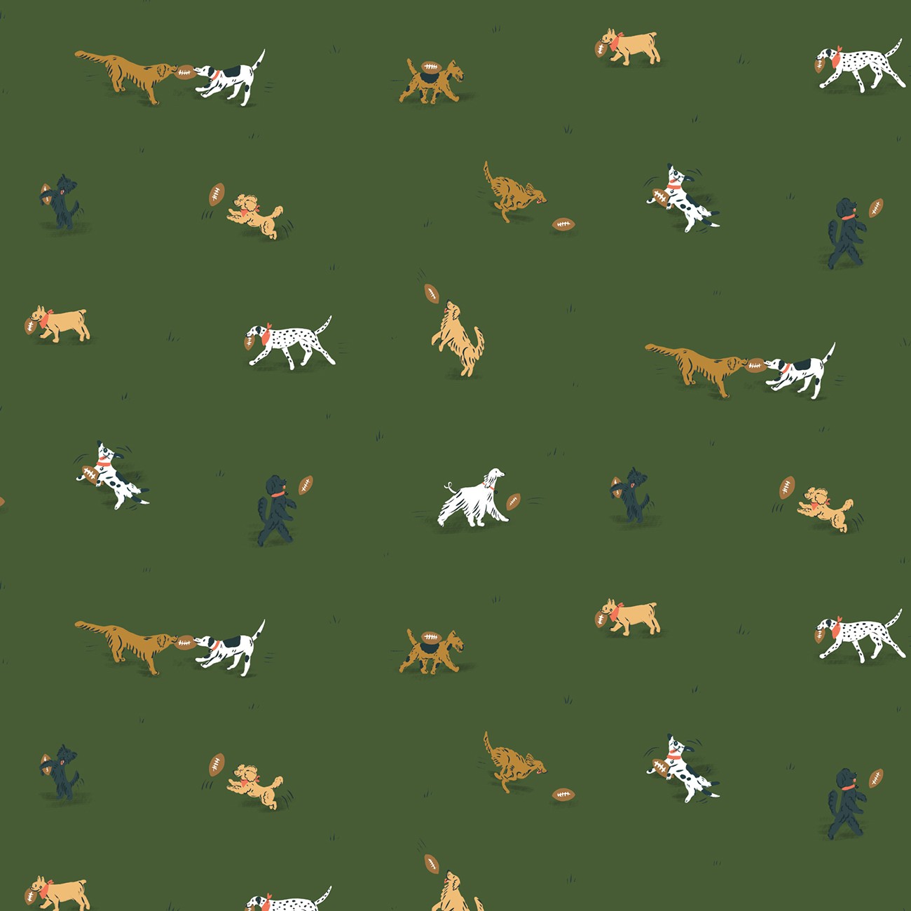 Product Image For 229556-X.